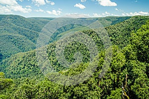 Landscape view of a thickly wooded valley, and mountains