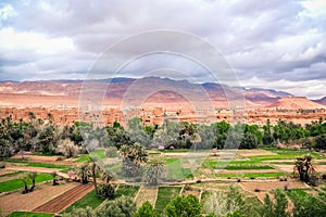 Landscape view of Tinghir city in the oasis, Morocco.