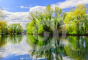 Landscape view at Toronto Center island near the pond area with people walking and relaxing in background