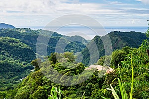 Landscape view on trail to the Trafalgar waterfalls. Morne Trois Pitons National Park, Dominica, Leeward Islands