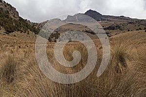 A landscape view with tree-covered rocky mountain slope and a dry grass field under a cloudy sky