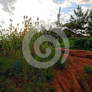 Landscape view of uneven land escarpment being farmed photo