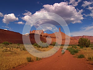 Landscape view UTAH - USA