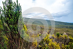 Landscape view of the volcanic terrain near Kilimanjaro mountain in Tanzania