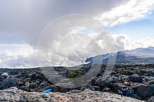 Landscape view of the volcanic terrain near Kilimanjaro mountain in Tanzania