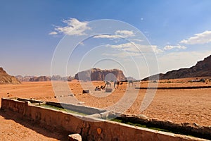 landscape view of wadi rum deser with group of camels