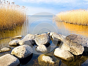 Landscape. View of the water surface with a rocky shore and yellow reeds. Lake.