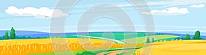 Landscape view of a wheat field. Cartoon farmland vector background