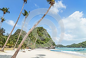Landscape view at Wua Ta Lap island beach with coconut palm trees in Angthong Islands National Marine Park on sunny day
