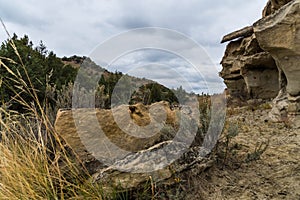 Landscape Views of Theodore Roosevelt National Park