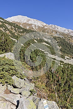 Landscape with Vihren Peak, Pirin Mountain