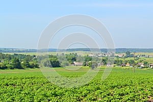 Landscape with village in Belarus. Country yard with old log houses