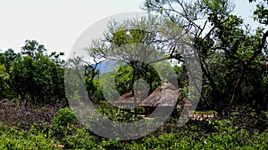 Landscape of the Village of Hamar tribe, Turmi , Ethiopia