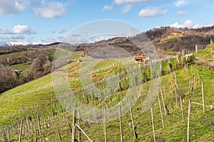 Landscape of vineyard hills of Gattinara in the province of Vercelli, Piedmont