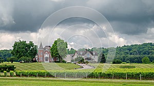 Landscape of a vineyard on a hillside