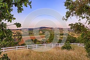 Landscape at a vineyard in the spring in Napa Valley, California, USA