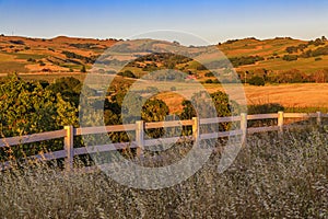 Landscape at a vineyard in the spring in Napa Valley, California, USA