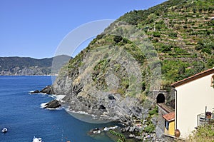 Landscape with vineyard terraced hill and Railway of Vernazza village resort from Cinque Terre in Italy