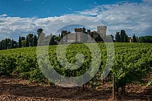 Landscape of vineyards at chateauneuf du pape with cobble stones or galet and chateau  ,provence, France photo