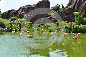 Landscape of Vinpearl and Nha Trang sea in Khanh Hoa province of Vietnam