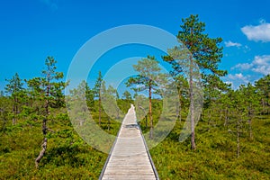 Landscape of Viru bog national park in Estonia