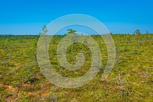 Landscape of Viru bog national park in Estonia
