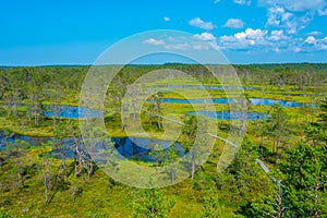 Landscape of Viru bog national park in Estonia