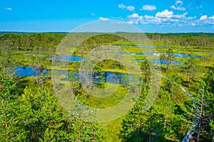 Landscape of Viru bog national park in Estonia