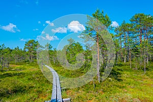 Landscape of Viru bog national park in Estonia