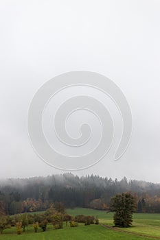 landscape with visible horizon on a foggy november day with indian fall colors