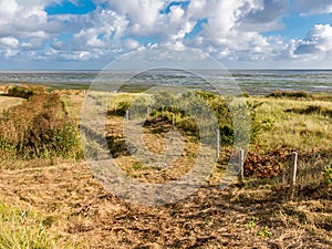 Landscape Vlieland and Waddensea, Holland