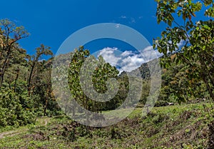 Landscape in Volcan Baru National Park, Chiriqui, Panama photo