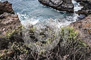 Landscape of the volcanic coast, Atlantic ocean. Selective focus. Los Gigantes, Tenerife