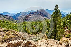 Landscape of the volcanic island of gran canaria
