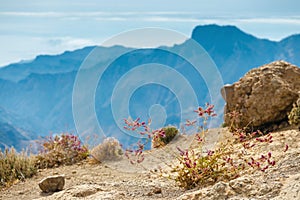 landscape of the volcanic island of gran canaria