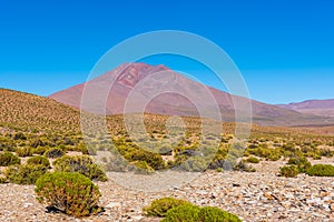 Landscape with volcanic peak and wild veld in the bolivian plateau