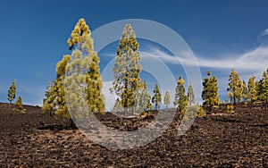 Landscape of a volcanic