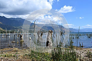 Landscape of volcanos and lake grass