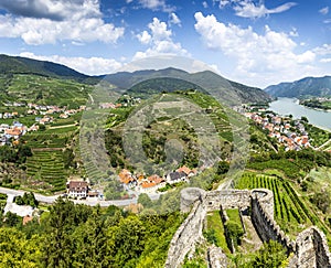 Landscape of Wachau valley and little town Spitz. Austria. photo