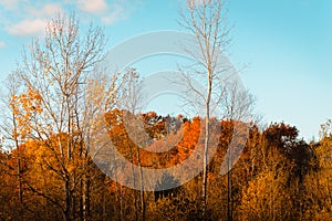 Landscape of Wahlfield Park near Grand Rapids Michigan photo