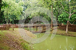 Landscape of walkway bidge