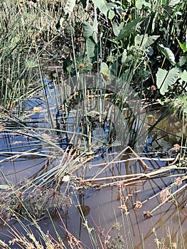 Landscape Water Feature
