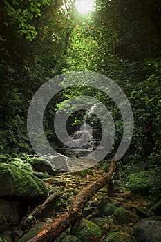 Landscape with waterfall in the middle of the mountain and tropical jungle