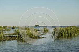 Landscape with waterline,  birds,  reeds,  vegetation and Sulina lighthouse in Danube Delta,  Romania,  in a sunny summer day