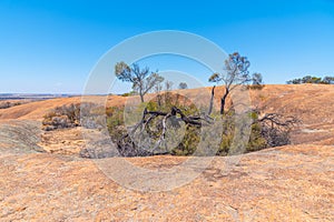 Landscape of Wave rock wildlife park in Australia