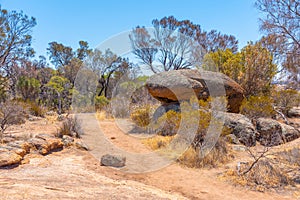 Landscape of Wave rock wildlife park in Australia