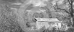 Battered old barn with crops in black and white