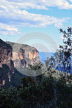 A landscape at Wentworth Falls in the Blue Mountains