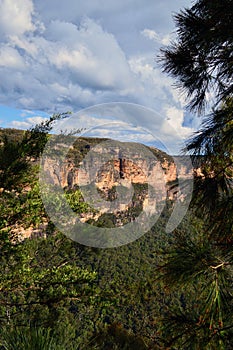 A landscape at Wentworth Falls in the Blue Mountains
