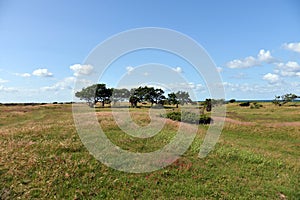 Landscape on west Zealand in Denmark